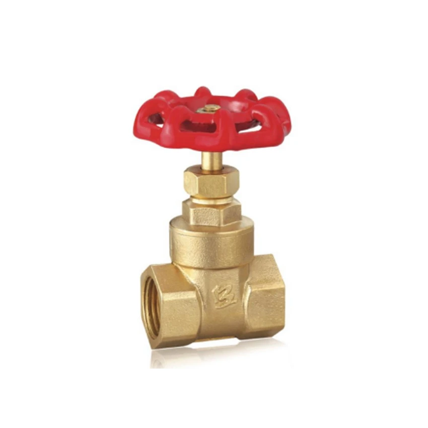 DN15 Gate Valve
